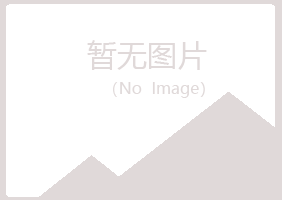 河池字迹采矿有限公司